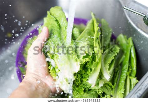 Fresh Vegetables Wash Sink Stock Photo (Edit Now) 363345332