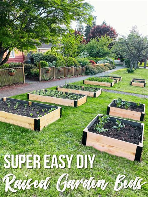 How to build a raised garden bed affordably?