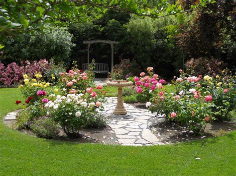 Backyard Rose Garden Design: It's Our World