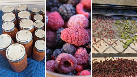 What are essential homemade recipes for preserving summer garden harvest?