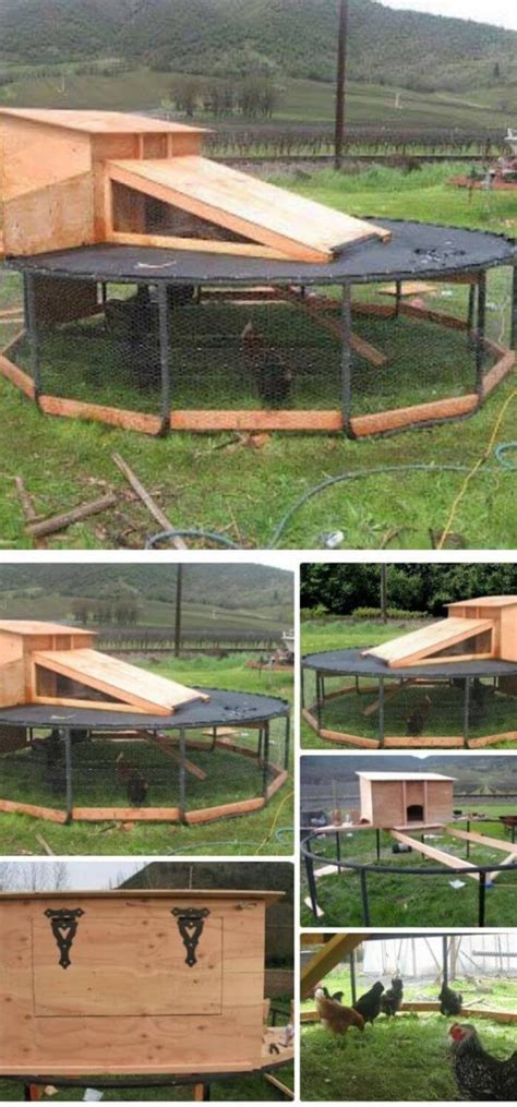 45+ Low-Budget DIY Backyard Chicken Coop Ideas (With Plans)