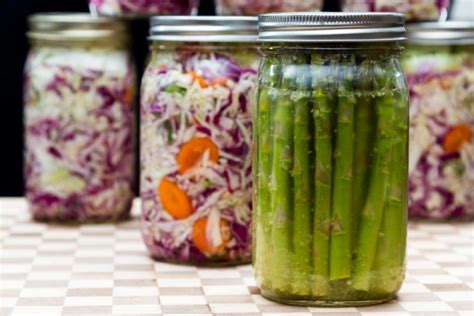 Ultimate Guide to Fermented Vegetables - Melissa K. Norris