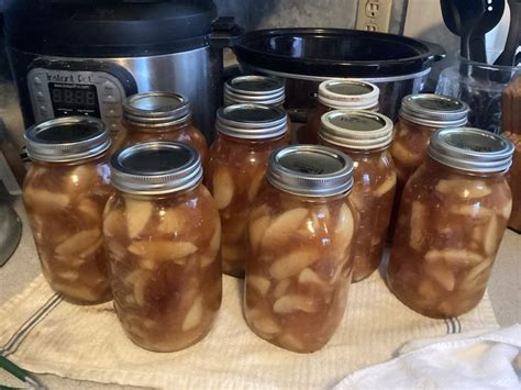 Homemade Canned Preserves in Mason Jars