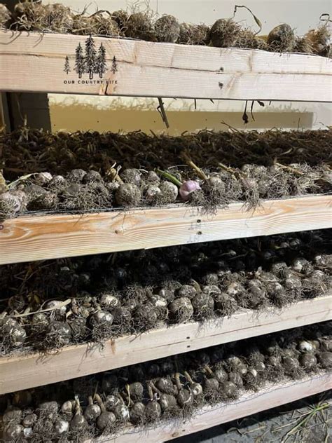 How to Build a Garden Harvest Drying Rack – Our Country Life