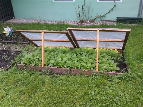 Best DIY cold frame for year-round garden greens?