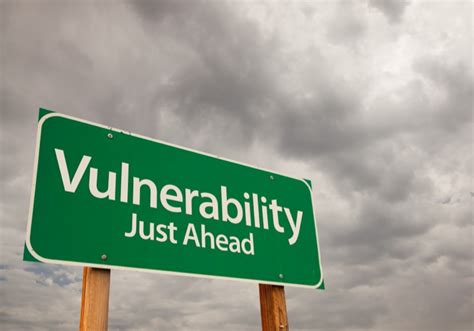 vulnerable - definition - What is
