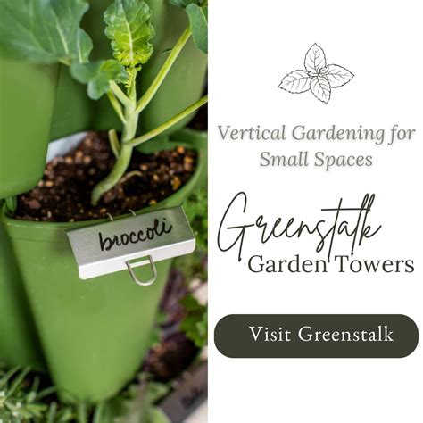 How to Air-Dry Herbs: The Hang Drying Process - Mama on the Homestead