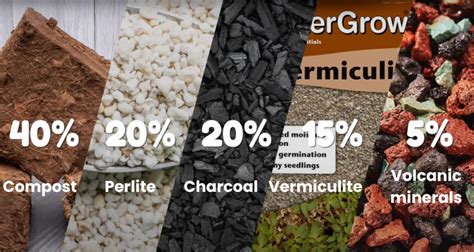 How To Make Compost at Home for Indoor Plants • Better Lawns and Gardens