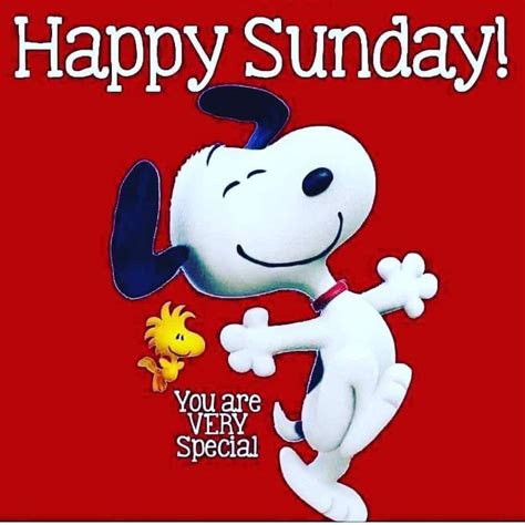 Pin by zografia on Καλημέρες &amp; Καληνύχτες | Happy sunday, Snoopy funny ...