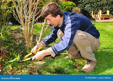 Gardener stock photo. Image of worker, trimming, professional - 24324406