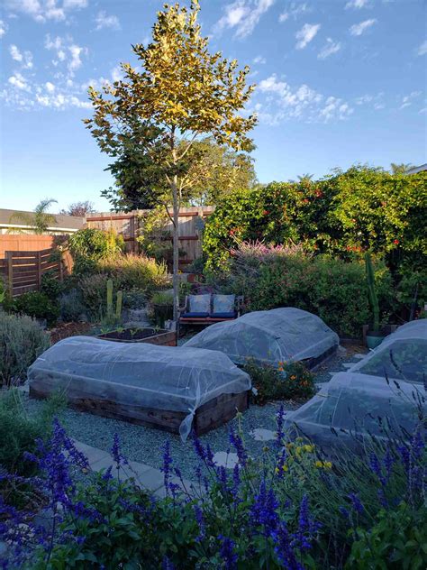 Using Hoops and Row Covers for Garden Pest Control, Shade & Frost ...