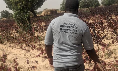 Food Security - Improving Peer-to-Peer Knowledge Sharing Among Farmers ...