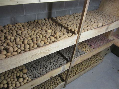 Root Cellar Storage Ideas at Bennie Keim blog