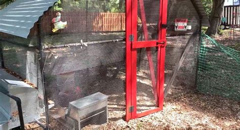 What Size Hardware Cloth for Chicken Coop: A Complete Guide