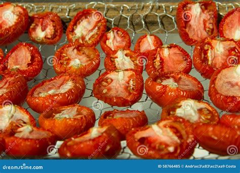 Sun Dried Tomatoes on a Simple Drying Tray Stock Image - Image of ...