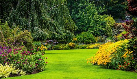 Natural Garden Background Images