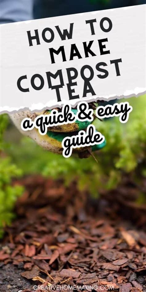 Easy DIY compost recipes for nutrient-rich backyard garden soil?