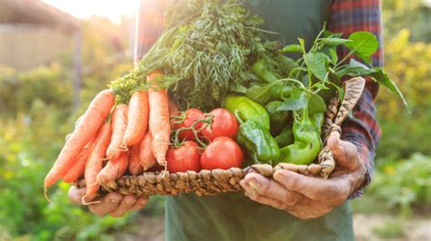 Demand for Fresh Food Transparency is Changing Retail - Extenda Retail