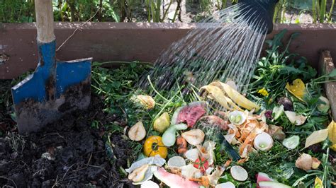 7 composting tips everyone needs to know | Tom's Guide