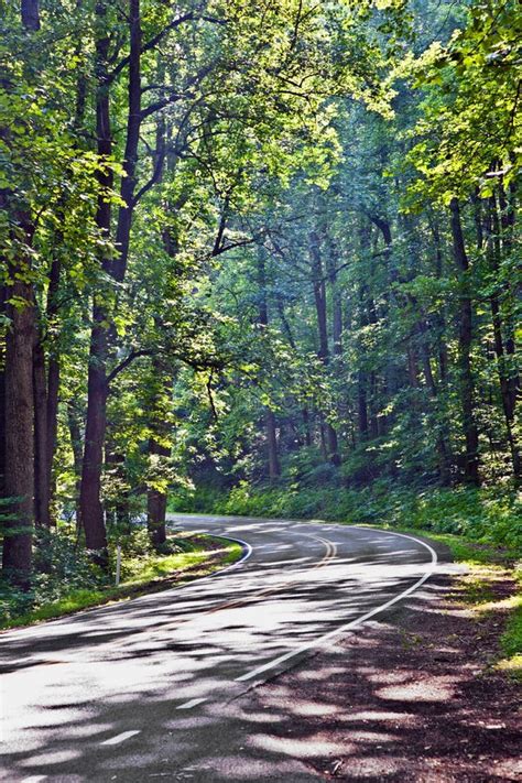 Beautiful Scenic Country Road Curves through Shenandoah Nationa Stock ...
