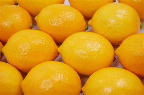 Lemons — Nature's Partner