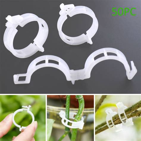 Pengzhipp Rattan Clamp Plant Tomato Vine Pepper Support Plastic Hanging ...