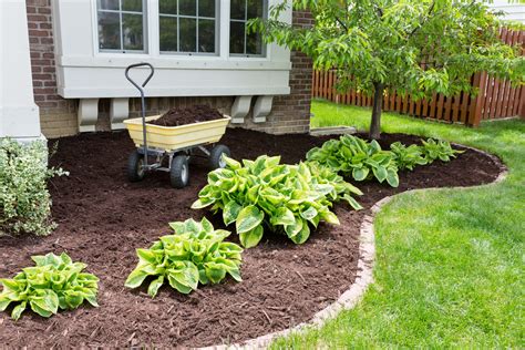 The Facts and Uses of Mulching - Designs Home