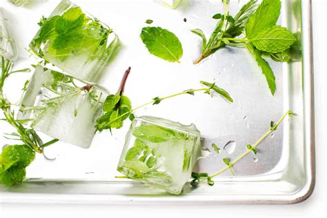 Herb Ice Cubes (Wow Your Friends!) | Feast + West