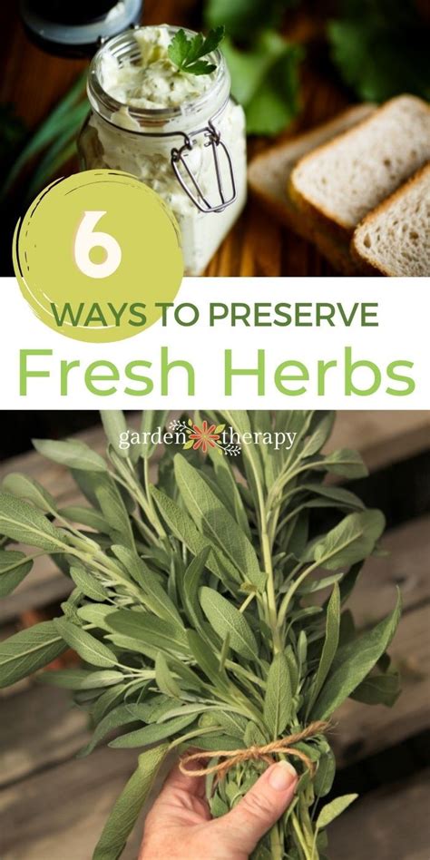 How do I keep fresh garden herbs vibrant longer after harvest?