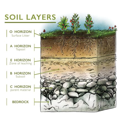 Soil and It's Profile Types,Layers of soil | study science