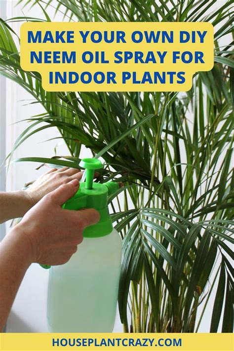 Diy Neem Oil Spray - Simple DIY Fixes