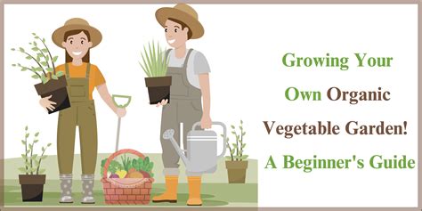 Tips for starting a no-dig garden for organic vegetable growing?