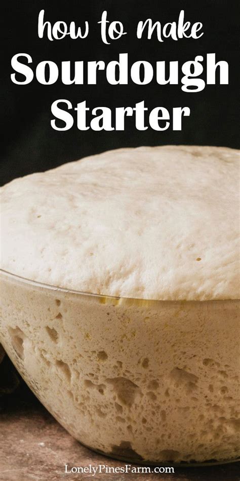 What’s the best real food recipe for homemade sourdough starter, country style?