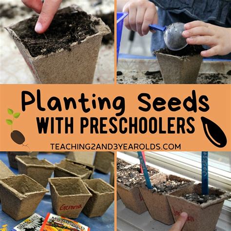 How to Plant Seeds for an Easy Kids Gardening Activity