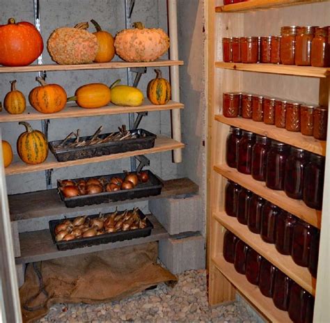 Root Cellar How To Build | Storables