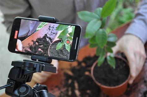 Premium Photo | A man takes photos and videos for his plant blog using ...