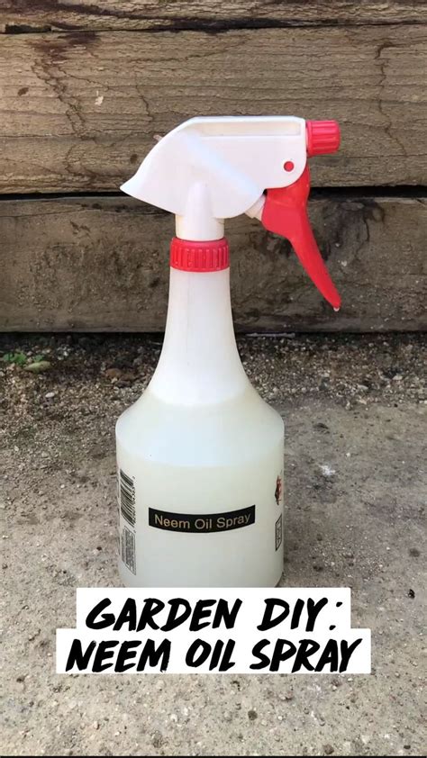 DIY Neem Oil Spray for Organic Garden Care