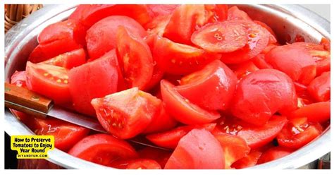 How to easily scale & preserve recipes for abundant garden tomatoes?