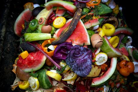 How to make compost 101 | All Green Nursery