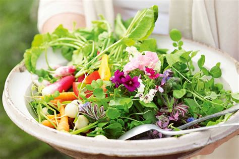 Garden salad with vinaigrette