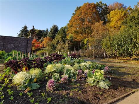 30 Fall Garden Ideas That Last All Season Long