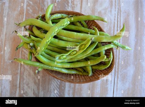 Freshly picked green beans in a basket Stock Photo - Alamy