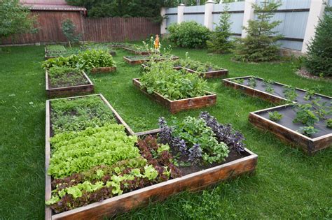 Crop Rotation in the Vegetable Garden | Yard and Garden