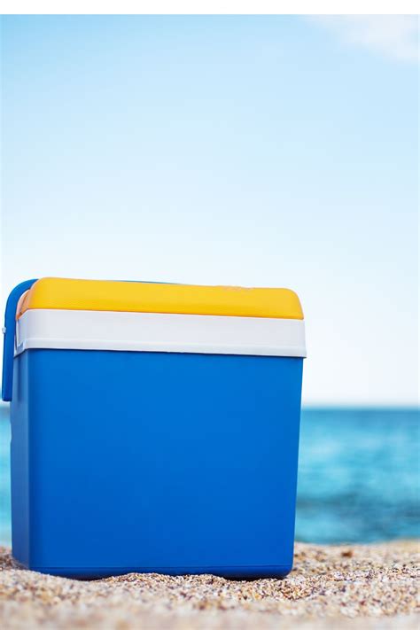 Best Road Trip Cooler: Keep Your Beverages and Snacks Fresh on the Go ...