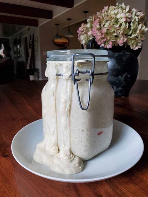 Is My Sourdough Starter Bad? How to Revive Old Inactive Starter ...