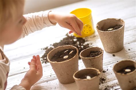 Kids Planting Seeds