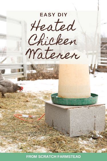 Easy DIY Heated Chicken Waterer | Heated chicken waterer, Chicken ...