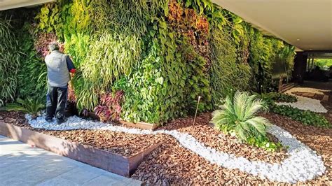 Garden Pests: How to Identify and Control Them