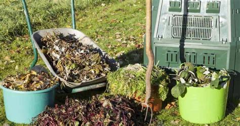 How Do You Know When Compost Is Ready