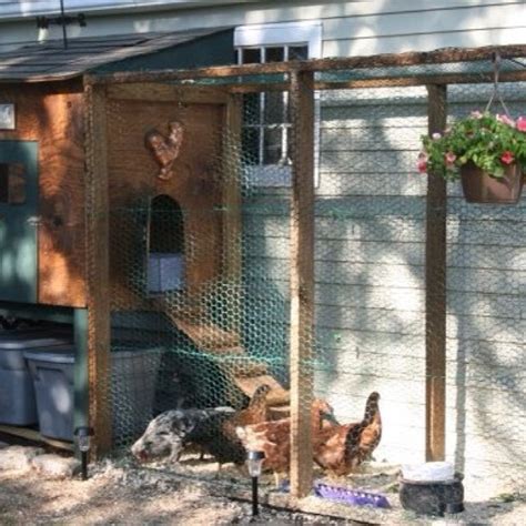 Backyard Chicken Coop Design